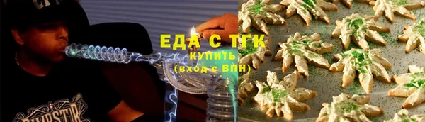 стаф Магас