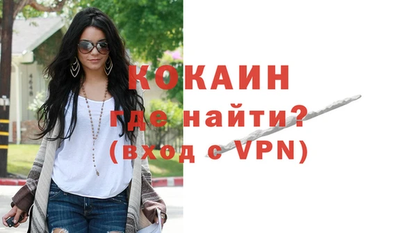 стаф Магас
