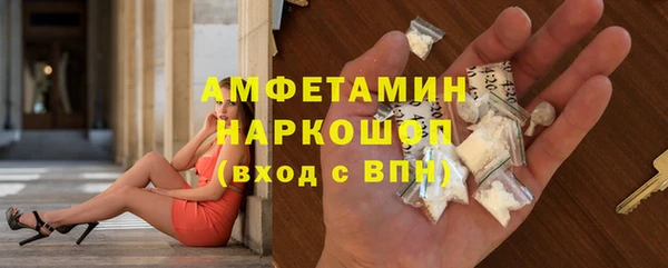 стаф Магас