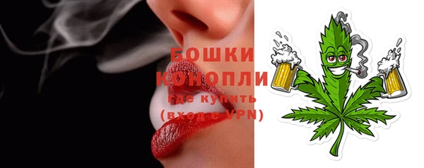 стаф Магас