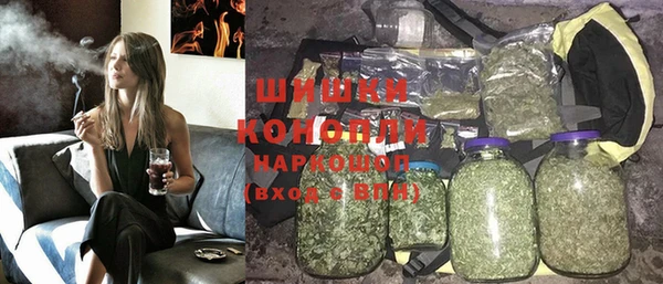 стаф Магас