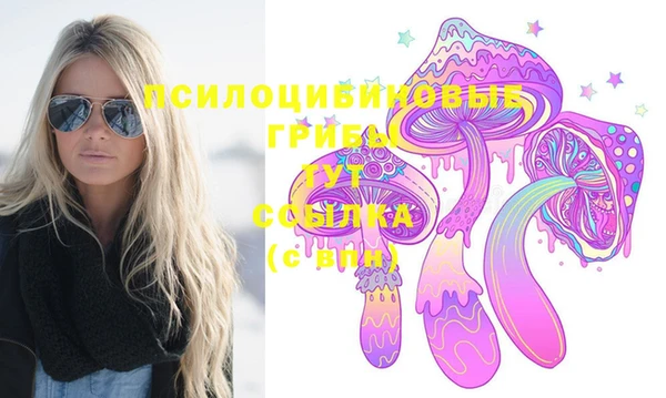 стаф Магас