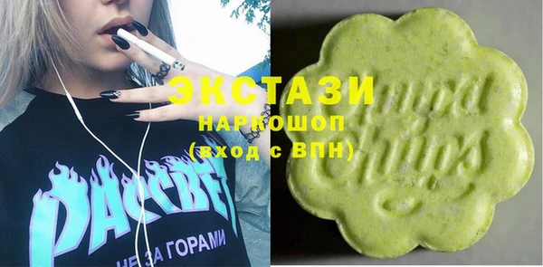 стаф Магас