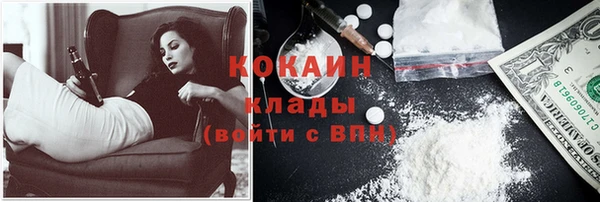 стаф Магас