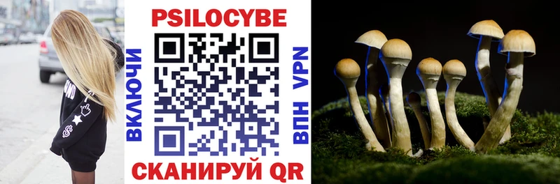 Псилоцибиновые грибы Psilocybine cubensis  Электроугли 